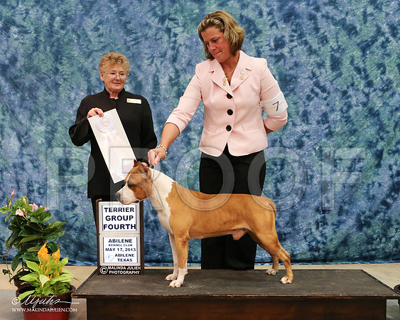 AmStaff-3278-AbiMay13HR