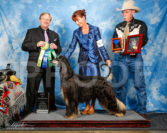 _ST_4633-2-AfgBeltonOct2014-HR3