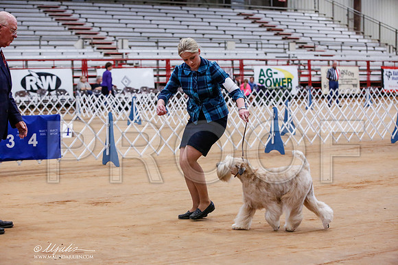_JJ_8231-TxArJun2014-HR3