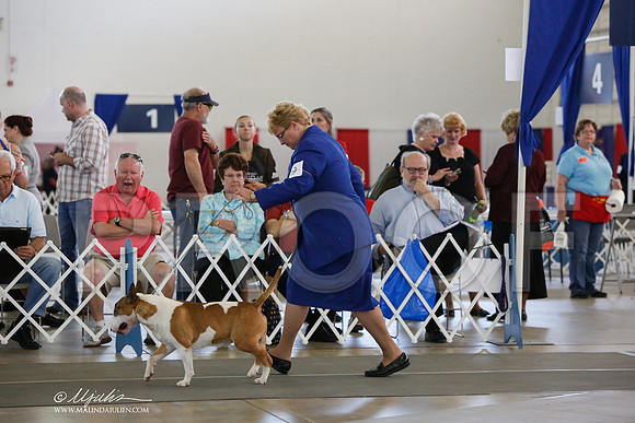 _JJ_2012-DallasJul2014-HR3