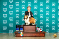 Shetland Sheepdog #46 Wed Vetsweeps