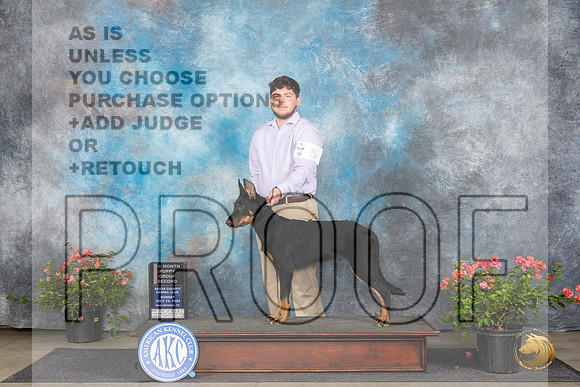 Beauceron #5 Sun BPupG2 Judge Christie Martinez__JP_5789_San Antonio_2024_HR3
