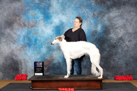 Borzoi #10 Sun WBM Judge Pat Trotter