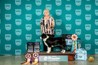 Border Collie #846 Thr Fri Sat