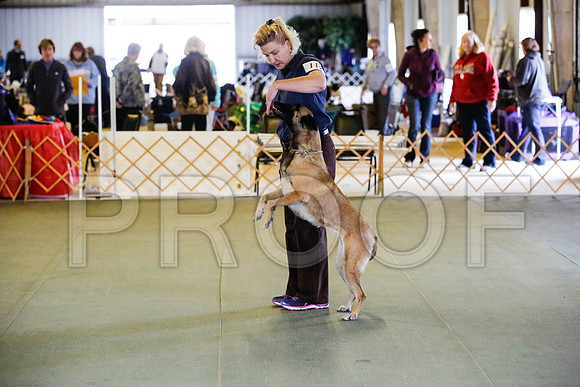 _CA_0627-DFWLabNov2015-©JulienLambertphoto.com-HR3