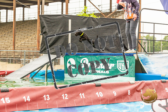 Dock Diving Thurs_JJL_0625_Premier2023