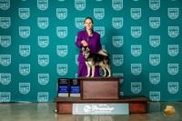 Alaskan Klee Kai #211 Wed RGCH Stud Judge Sharon Griffin