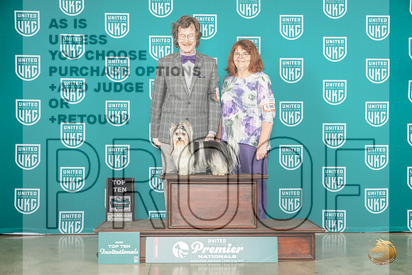 Biewer Terrier #991 Thurs TopTen Judge Felicity TrammellMJP_3735_Premier2023_HR3