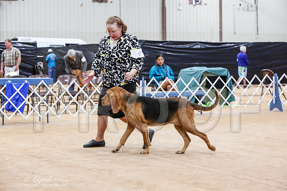 _JN_6343-TxArJun2014-HR3