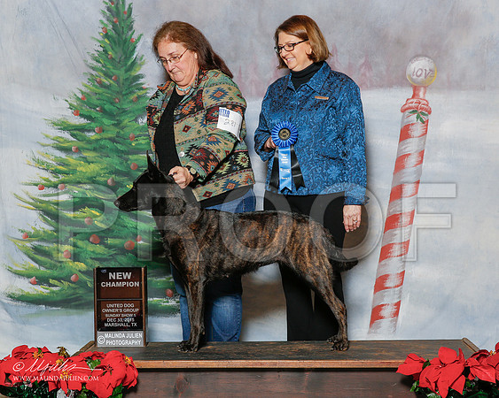 _R2_2052-2-MrshlDec2015-HR3