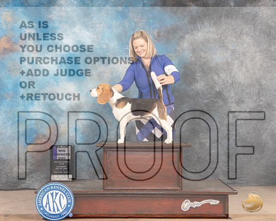 Beagle 15 #9 Sat WDM Judge Gloria Kerr-MMJ_3969-Abilene2022-HR3