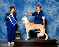 Saluki #5 sun G1 Middlebrooks and T Turley Kocab and M Kocab Agent Erin Roberts Judge Patricia Trotter