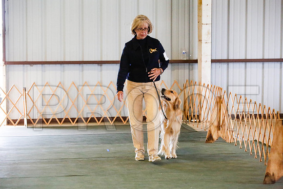 _CA_0541-DFWLabNov2015-©JulienLambertphoto.com-HR3