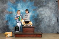 Pembroke Welsh Corgi #127 Sun G3 Judge Lynn Martin