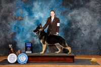 German Shepherd Dog #5 Fri G1 Judge Denise Dean