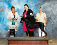 Cayla Wallwork UKC Longview May 2023