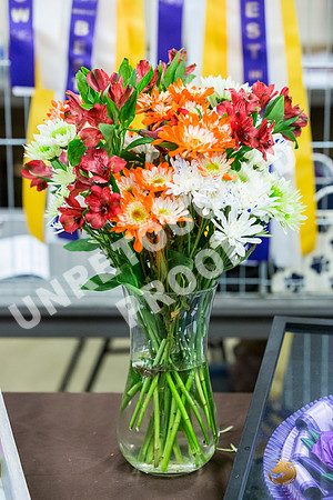 Memorial Best of the Best-JJL_8802_UKCLNGVWMAY 2023-HR3