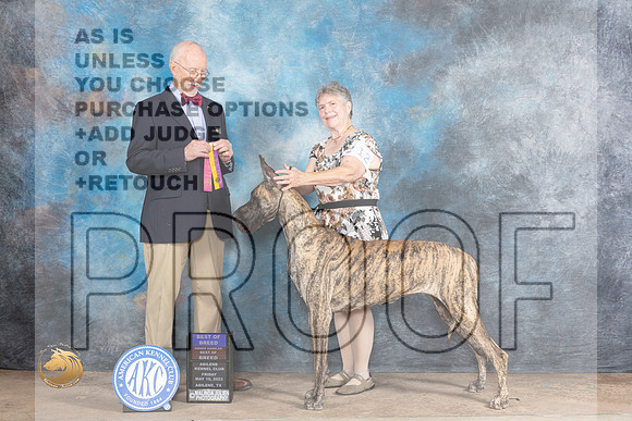 Great Dane #12 Fri BOBOHBOB Judge Ronald HornMJP_0238_Abilene_2023_HR3