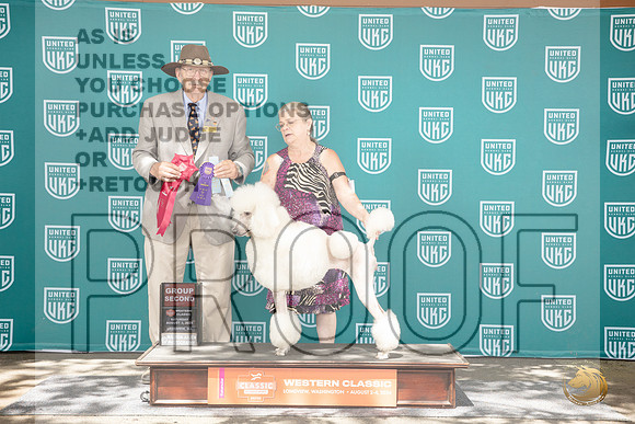 Poodle Standard #258 Sat BOB G2 Judge Allan Krenek__JP_1409_Longview WA_2024_HR3
