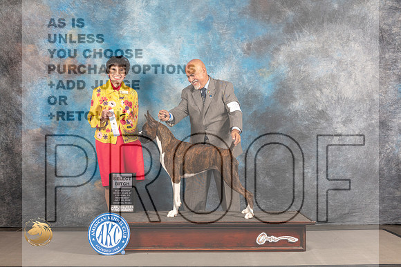 Boxer #38 WED SB Judge Barbara Alderman_MJ_1826_Houston_2022_HR3