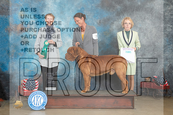 Dogue de Bourdeaux #7 Thur G3 Judge Edweena (Teddy) McDowell_MJ_5722e_ARK2023_HR3