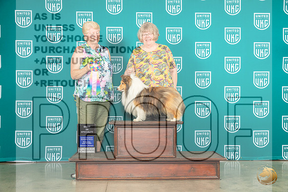Shetland Sheepdog #32 Wed BISS Judge Karen Cattin 2MJP_3610_Premier2023_HR3