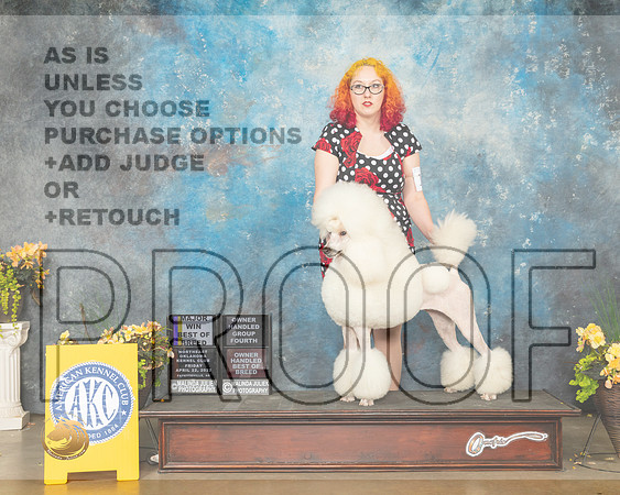 Poodle Std #10 Fri OHG4 Judge Eugene Blake-MMJ_9936-NWARK2022-HR3