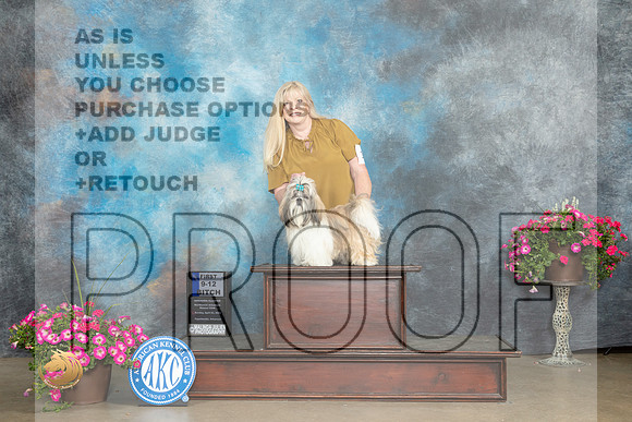 Shih Tzu #12 Sun 1st Judge Pat Trotter_MJ_7245_ARK2023_HR3