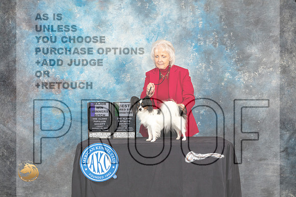 Papillon #24 Fri1 BBE Judge Sharon Masnick_MJ_9705_HstnTOY_2022_HR3