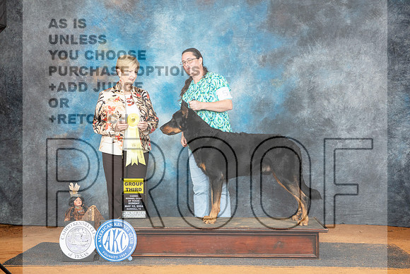 Beauceron #5 Sun G3 Judge Karen Hynek__JP_8688_MARSHALL_2024_HR3