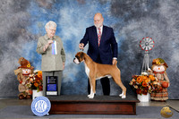 Carol Muller Amarillo 2026