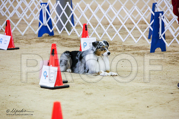 _JJ_6213-ASCACollegeStationNov2014-HR3