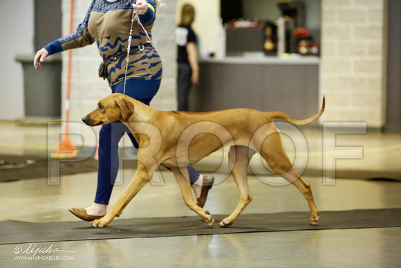 _RH_1415-BeltonJan2015IABCA-HR3
