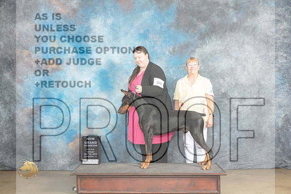 Doberman Pinscher #238 Fri Gr Judge Chandra MartinMJP_1998_UKCLNVWMAY2023_HR3