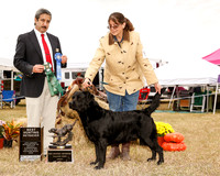 #81 Sat Best Hunting Retriever