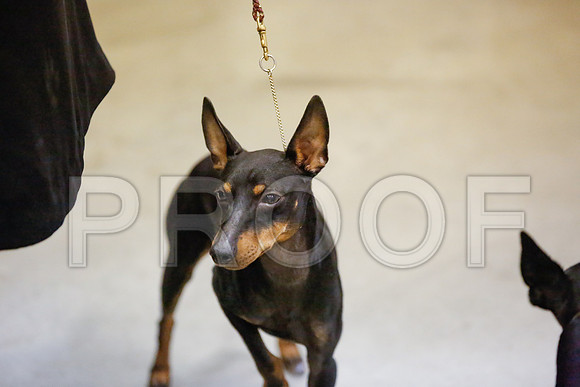 _JN_7810-AmarilloSept2014-HR3