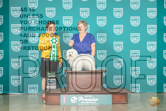 Coton de Tulear #233 Fri G3 Judge Tricia TillMJP_4799_Premier2023_HR3
