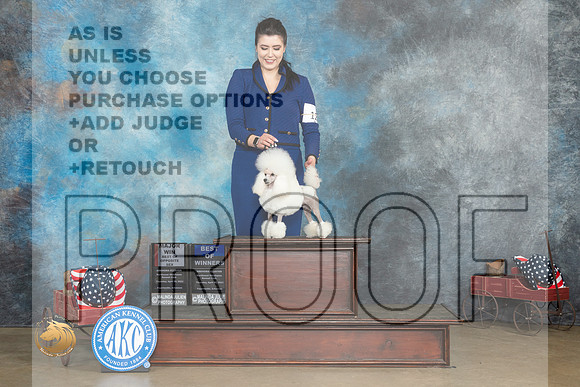 Poodle Toy #12 Thurs BOSBOW Judge Terry Stacy_MJ_5592_ARK2023_HR3