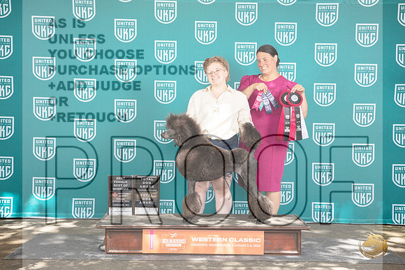 Poodle Standard #434 Sat BOW BF TD NCH No Judge__JP_1819_Longview WA_2024_HR3