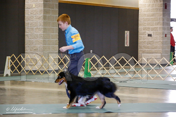 _JN_1318-BeltonJan2015-HR3