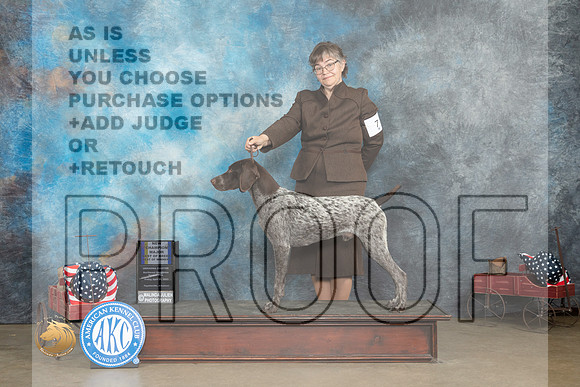 German Shorthaired Pointer #7 Fri BOBBOWM Judge Pat Trotter_MJ_5902_ARK2023_HR3