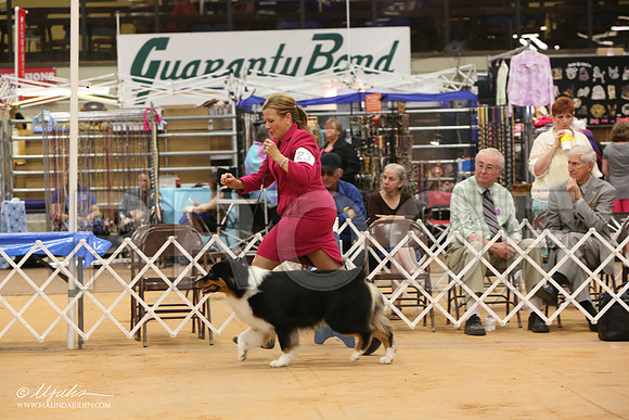 HerdGrSat-5079-Tex2013 HR3