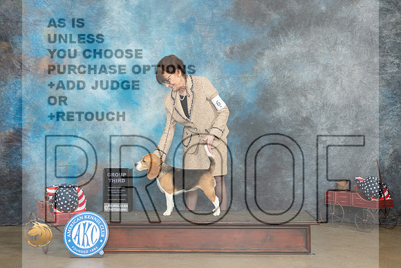 Beagle 15%22 #6 Thur G3 Judge Terry Stacy_MJ_5639_ARK2023_HR3