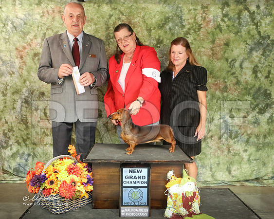 dachS-7390-SANov13-HR