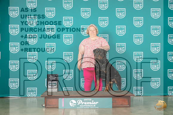 Rottweiler #596 Sat RQ Judge James ComunleMJP_5066_Premier2023_HR3