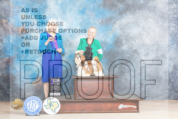 Shih Tzu #15 Sun WDM Judge Jan PaulkMJP_1471_Abilene_2023_HR3