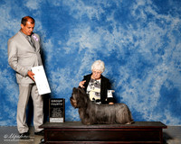 Skye Terrier #6 Sat G4 Shiue Michelle Agent Brenda Lee Combs Judge Ricardo Forastieri Gonzalez