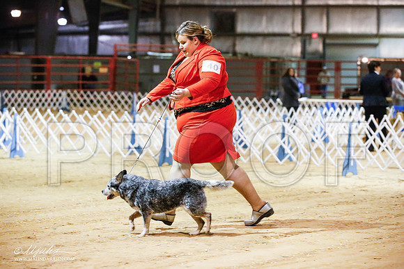 _JN_4989-2-GlenRoseJan2015-HR3