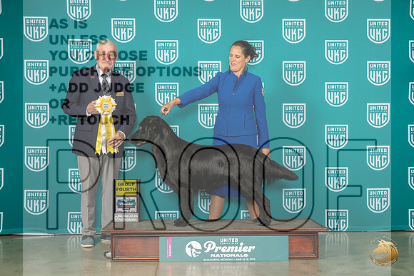 Flat Coat Retriever #1235 Fri G4  Judge David KittredgeMJP_4622_Premier2023_HR3