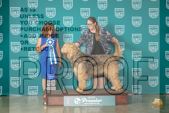 Otterhound #1299 Sat AG1 Judge Tricia TillMJP_5324_Premier2023_HR3